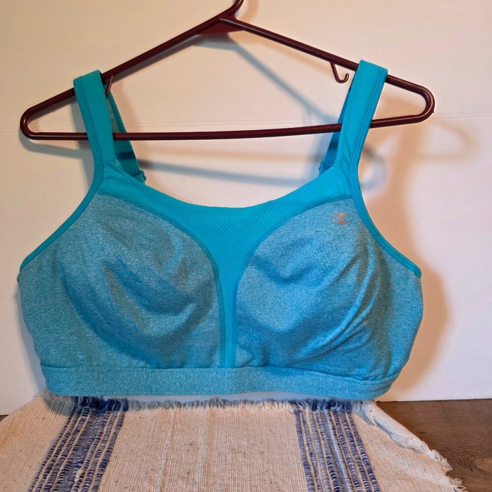 Champion Max Support Sports Bra